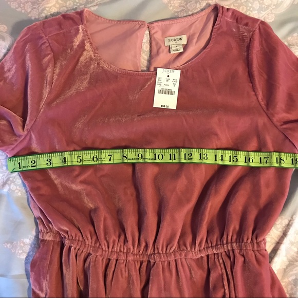 J Crew rose velvet dress NWT 6 - Picture 6 of 8